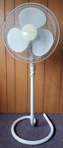 131