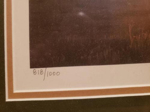 19 4