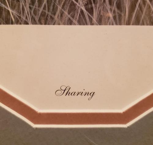 20 2