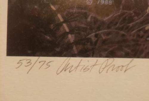 25 3
